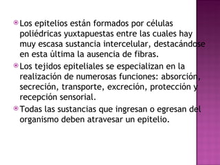 Los epitelios están formados por células poliédricas yuxtapuestas entre las cuales hay muy escasa sustancia intercelular, destacándose en esta última la ausencia de fibras.  Los tejidos epiteliales se especializan en la realización de numerosas funciones: absorción, secreción, transporte, excreción, protección y recepción sensorial.  Todas las sustancias que ingresan o egresan del organismo deben atravesar un epitelio.  