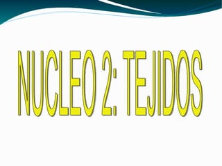 Vertical estrecha NUCLEO 2: TEJIDOS 