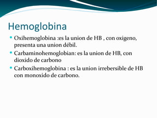 H emoglobina <ul><li>Oxihemoglobina :es la union de HB , con oxigeno, presenta una union débil. </li></ul><ul><li>Carbamin...