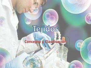 Tejidos Concepto y Clasificación 