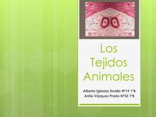 Los
Tejidos
Animales
Alberto Iglesias Doallo Nº19 1ºB
Antía Vázquez Prado Nº33 1ºB
 