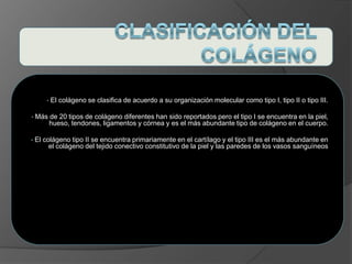 • El colágeno se clasifica de acuerdo a su organización molecular como tipo I, tipo II o tipo III.
• Más de 20 tipos de colágeno diferentes han sido reportados pero el tipo I se encuentra en la piel,
hueso, tendones, ligamentos y córnea y es el más abundante tipo de colágeno en el cuerpo.
• El colágeno tipo II se encuentra primariamente en el cartílago y el tipo III es el más abundante en
el colágeno del tejido conectivo constitutivo de la piel y las paredes de los vasos sanguíneos
 