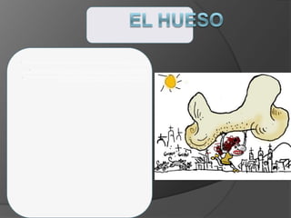 • El tejido conectivo especializado conocido como hueso es uno de los tejidos más fuertes y duros del
cuerpo humano.
• El esqueleto protege los órganos vitales, sirve como reserva de minerales, alberga las células
hematopoyéticas y provee brazos de palanca desde los cuales los músculos controlan el movimiento.
• El hueso es una estructura dinámica que se remodela continuamente y responde a las alteraciones
de las cargas mecánicas, niveles hormonales y niveles séricos de calcio
 