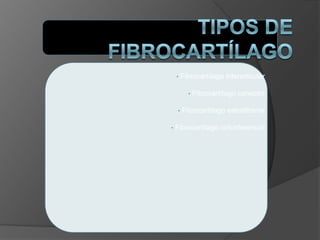• Fibrocartílago interarticular
• Fibrocartílago conector
• Fibrocartílago estratiforme
• Fibrocartílago cirfunferencial
 