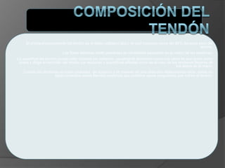 El principal componente del tendón es el tejido colágeno tipo I, el cual compone cerca del 86% del peso seco del
tendón.
Las fibras elásticas están presentes en cantidades pequeñas en la matriz de los tendones.
La superficie del tendón puede estar cubierta por epitenon, usualmente apreciado como una vaina de que actúa como
polea y dirige el recorrido del tendón por esquinas y superficies afiladas como es el caso de los tendones flexores de
los dedos de la mano.
Cuando los tendones no están rodeados de epitenon y se mueven en una dirección relativamente recta, existe un
tejido conectivo suave llamado peritenon que contiene vasos sanguíneos que nutren al tendón.
 