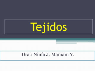 Tejidos
Dra.: Ninfa J. Mamani Y.
 