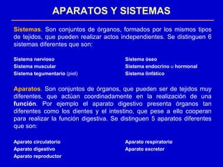 Sistemas. Son conjuntos de órganos, formados por los mismos tipos
de tejidos, que pueden realizar actos independientes. Se distinguen 6
sistemas diferentes que son:
Sistema nervioso Sistema óseo
Sistema muscular Sistema endocrino u hormonal
Sistema tegumentario (piel) Sistema linfático
Aparatos. Son conjuntos de órganos, que pueden ser de tejidos muy
diferentes, que actúan coordinadamente en la realización de una
función. Por ejemplo el aparato digestivo presenta órganos tan
diferentes como los dientes y el intestino, que pese a ello cooperan
para realizar la función digestiva. Se distinguen 5 aparatos diferentes
que son:
Aparato circulatorio Aparato respiratorio
Aparato digestivo Aparato excretor
Aparato reproductor
APARATOS Y SISTEMAS
 