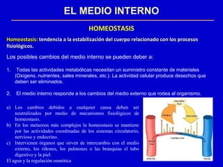 EL MEDIO INTERNO
HOMEOSTASIS
a) Los cambios debidos a cualquier causa deben ser
neutralizados por medio de mecanismos fisiológicos de
homeostasis.
b) En los metazoos más complejos la homeostasis se mantiene
por las actividades coordinadas de los sistemas circulatorio,
nervioso y endocrino.
c) Intervienen órganos que sirven de intercambio con el medio
externo, los riñones, los pulmones o las branquias el tubo
digestivo y la piel.
El agua y la regulación osmótica
Homeostasis:Homeostasis: tendencia a la estabilización del cuerpo relacionado con los procesostendencia a la estabilización del cuerpo relacionado con los procesos
fisiológicos.fisiológicos.
Los posibles cambios del medio interno se pueden deber a:
1. Todas las actividades metabólicas necesitan un suministro constante de materiales
(Oxígeno, nutrientes, sales minerales, etc.). La actividad celular produce desechos que
deben ser eliminados.
2. El medio interno responde a los cambios del medio externo que rodea al organismo.
 