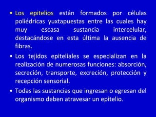 • Los epitelios están formados por células
poliédricas yuxtapuestas entre las cuales hay
muy escasa sustancia intercelular,
destacándose en esta última la ausencia de
fibras.
• Los tejidos epiteliales se especializan en la
realización de numerosas funciones: absorción,
secreción, transporte, excreción, protección y
recepción sensorial.
• Todas las sustancias que ingresan o egresan del
organismo deben atravesar un epitelio.
 