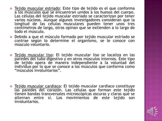  Tejido muscular estriado: Este tipo de tejido es el que conforma
a los músculos que se encuentran unidos a los huesos del cuerpo.
Las células del tejido muscular estriado se caracterizan por tener
varios núcleos. Aunque algunos investigadores consideran que la
longitud de las células musculares pueden tener unos tres
centímetros de largo, otros opinan que se extienden a lo largo de
todo el músculo.
 Debido a que el músculo formado por tejido muscular estriado se
contrae según lo determine el organismo, se le conoce con
músculo voluntario.
 Tejido muscular liso: El tejido muscular liso se localiza en las
paredes del tubo digestivo y en otros músculos internos. Este tipo
de tejido opera de manera independiente a la voluntad del
individuo por lo que se conoce a los músculos que conforma como
“músculos involuntarios”.
 Tejido muscular cardiaco: El tejido muscular cardiaco constituye
las paredes del corazón. Las células que forman este tejido
tienen bandas transversales microscópicas oscuras y claras que se
alternan entre sí. Los movimientos de este tejido son
involuntarios.
 