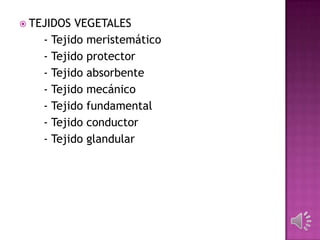  TEJIDOS VEGETALES
- Tejido meristemático
- Tejido protector
- Tejido absorbente
- Tejido mecánico
- Tejido fundamental
- Tejido conductor
- Tejido glandular
 