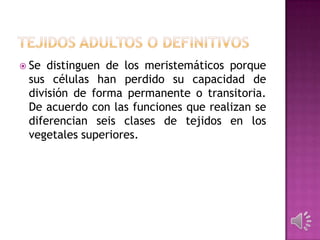  Se distinguen de los meristemáticos porque
sus células han perdido su capacidad de
división de forma permanente o transitoria.
De acuerdo con las funciones que realizan se
diferencian seis clases de tejidos en los
vegetales superiores.
 