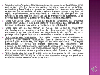  Tejido Conjuntivo Sanguíneo: El tejido sanguíneo está compuesto por los glóbulos rojos
(eritrocitos), glóbulos blancos (leucocitos: linfocitos, monocitos, neutrófilos,
eosinófilos, y basófilos) y las plaquetas (trombocitos). Además, estas células
se encuentran suspendidas en una sustancia llamada plasma sanguíneo. El
tejido sanguíneo se encuentra distribuido a través de todo el organismo. Las
funciones de este tipo de tejido son las de transporte de sustancias, la de
defensa del organismo y participar en la reparación del organismo.
 Tejido Conjuntivo Óseo: Este tipo de tejido se caracteriza por presentar
células muy unidas y con poca materia intercelular. Las estructuras así
formadas suelen ser muy sólidas y resistentes. Las células del
 Tejido óseo son las que forman los huesos, por lo que se encuentran
distribuidas en el esqueleto Animal Las funciones del tejido óseo se
encuentra la de sostener el resto del organismo, la de darle forma, la de
proteger a los órganos internos y la de colaborar con los movimientos.
 Tejido Conjuntivo Cartilaginoso: Este tejido presenta células estrechamente
unidas y poco material intercelular, pero a diferencia del tejido óseo
presenta gran flexibilidad, sin dejar de ser muy resistente. El tejido
cartilaginoso se ubica en ciertas posiciones del organismo, por
ejemplo, en las articulaciones, sirviendo de unión entre huesos y músculos,
etc. Los animales en su etapa embrionaria no tienen huesos, en lugar de eso,
el embrión mantiene su forma gracias a un esqueleto formado por cartílago.
 Tejido Conjuntivo Adiposo: El tejido adiposo tiene como función estructurar
ciertas partes del cuerpo y la de almacenar sustancias energéticas (en forma
de lípidos) en las vacuolas de su citoplasma.
 