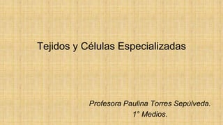 Tejidos y Células Especializadas
Profesora Paulina Torres Sepúlveda.
1° Medios.
 