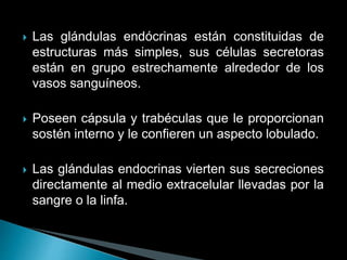  Las glándulas endócrinas están constituidas de
estructuras más simples, sus células secretoras
están en grupo estrechamente alrededor de los
vasos sanguíneos.
 Poseen cápsula y trabéculas que le proporcionan
sostén interno y le confieren un aspecto lobulado.
 Las glándulas endocrinas vierten sus secreciones
directamente al medio extracelular llevadas por la
sangre o la linfa.
 