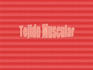 Tejido Muscular 