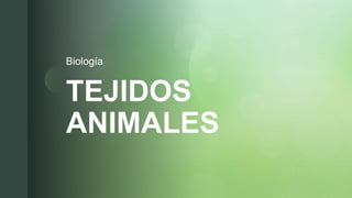 zTEJIDOS
ANIMALES
Biología
 