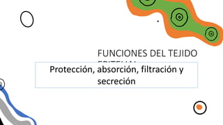 FUNCIONES DEL TEJIDO
EPITELIAL
Protección, absorción, filtración y
secreción
 