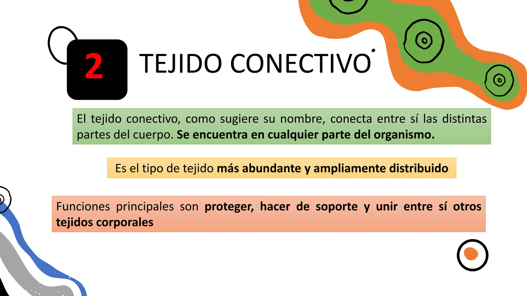 TEJIDO CONECTIVO
TEJIDO CONECTIVO
El tejido conectivo, como sugiere su nombre, conecta entre sí las distintas
partes del cuerpo. Se encuentra en cualquier parte del organismo.
Es el tipo de tejido más abundante y ampliamente distribuido
Funciones principales son proteger, hacer de soporte y unir entre sí otros
tejidos corporales
2
 
