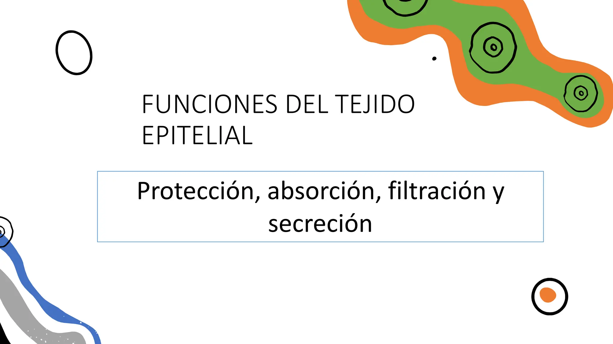 FUNCIONES DEL TEJIDO
EPITELIAL
Protección, absorción, filtración y
secreción
 