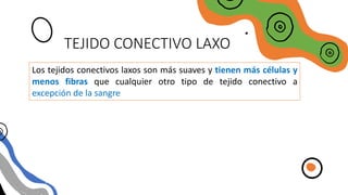 TEJIDO CONECTIVO LAXO
Los tejidos conectivos laxos son más suaves y tienen más células y
menos fibras que cualquier otro tipo de tejido conectivo a
excepción de la sangre
 