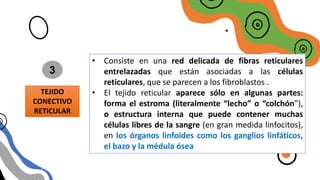 TIPOS DE TEJIDO
CONECTIVO LAXO
TEJIDO
CONECTIVO
RETICULAR
3
• Consiste en una red delicada de fibras reticulares
entrelazadas que están asociadas a las células
reticulares, que se parecen a los fibroblastos .
• El tejido reticular aparece sólo en algunas partes:
forma el estroma (literalmente “lecho” o “colchón”),
o estructura interna que puede contener muchas
células libres de la sangre (en gran medida linfocitos),
en los órganos linfoides como los ganglios linfáticos,
el bazo y la médula ósea
 