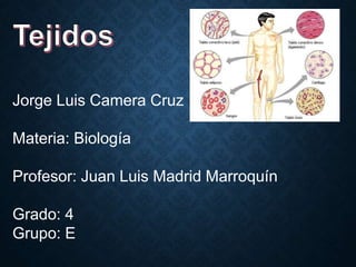 Jorge Luis Camera Cruz
Materia: Biología
Profesor: Juan Luis Madrid Marroquín
Grado: 4
Grupo: E
 