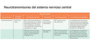 Neurotransmisores del sistema nervioso central
 