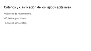 Criterios y clasificación de los tejidos epiteliales
• Epitelios de revestimiento.
• Epitelios glandulares.
• Epitelios sensoriales.
 