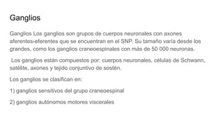 Ganglios
Ganglios Los ganglios son grupos de cuerpos neuronales con axones
aferentes-eferentes que se encuentran en el SNP. Su tamaño varía desde los
grandes, como los ganglios craneoespinales con más de 50 000 neuronas.
Los ganglios están compuestos por: cuerpos neuronales, células de Schwann,
satélite, axones y tejido conjuntivo de sostén.
Los ganglios se clasifican en:
1) ganglios sensitivos del grupo craneoespinal
2) ganglios autónomos motores viscerales
 