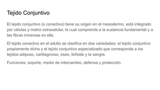 Tejido Conjuntivo
El tejido conjuntivo (o conectivo) tiene su origen en el mesodermo, está integrado
por células y matriz extracelular, la cual comprende a la sustancia fundamental y a
las fibras inmersas en ella.
El tejido conectivo en el adulto se clasifica en dos variedades: el tejido conjuntivo
propiamente dicho y el tejido conjuntivo especializado que corresponde a los
tejidos adiposo, cartilaginoso, óseo, linfoide y la sangre.
Funciones: soporte, medio de intercambio, defensa y protección.
 