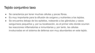 Tejido conjuntivo laxo
● Se caracteriza por tener muchas células y pocas fibras.
● Es muy importante para la difusión de oxígeno y nutrientes a los tejidos.
● Se encuentra debajo de los epitelios, rodeando a las glándulas y vasos
sanguíneos pequeños y, por su localización, es el primer sitio donde ocurren
las reacciones inflamatorias e inmunitarias y, por tanto, las células
involucradas en el sistema de defensa son muy abundantes en este tejido.
 
