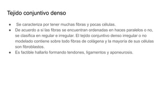 Tejido conjuntivo denso
● Se caracteriza por tener muchas fibras y pocas células.
● De acuerdo a si las fibras se encuentran ordenadas en haces paralelos o no,
se clasifica en regular e irregular. El tejido conjuntivo denso irregular o no
modelado contiene sobre todo fibras de colágena y la mayoría de sus células
son fibroblastos.
● Es factible hallarlo formando tendones, ligamentos y aponeurosis.
 