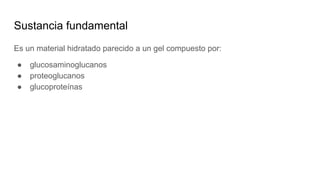 Sustancia fundamental
Es un material hidratado parecido a un gel compuesto por:
● glucosaminoglucanos
● proteoglucanos
● glucoproteínas
 