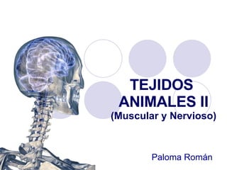 TEJIDOS  ANIMALES II (Muscular y Nervioso) Paloma Román   