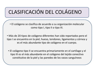 CLASIFICACIÓN DEL COLÁGENO
• El colágeno se clasifica de acuerdo a su organización molecular
como tipo I, tipo II o tipo III.
• Más de 20 tipos de colágeno diferentes han sido reportados pero el
tipo I se encuentra en la piel, hueso, tendones, ligamentos y córnea y
es el más abundante tipo de colágeno en el cuerpo.
• El colágeno tipo II se encuentra primariamente en el cartílago y el
tipo III es el más abundante en el colágeno del tejido conectivo
constitutivo de la piel y las paredes de los vasos sanguíneos
 