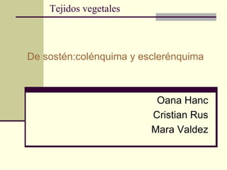 Tejidos vegetales De sostén:colénquima y esclerénquima Oana Hanc Cristian Rus Mara Valdez 