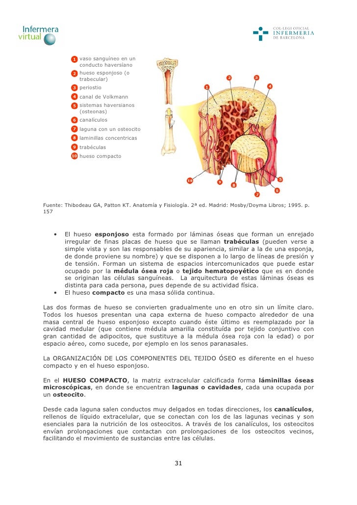 Tejidos membranas-piel-derivados-piel