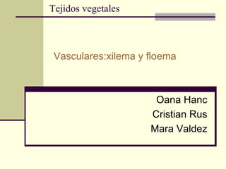 Tejidos vegetales Vasculares:xilema y floema Oana Hanc Cristian Rus Mara Valdez 