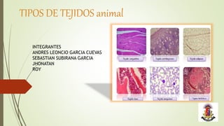 TIPOS DE TEJIDOS animal
INTEGRANTES
ANDRES LEONCIO GARCIA CUEVAS
SEBASTIAN SUBIRANA GARCIA
JHONATAN
ROY
 