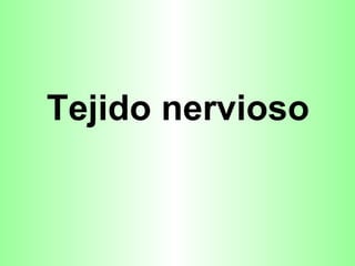 Tejido nervioso 
