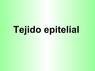 Tejido epitelial  