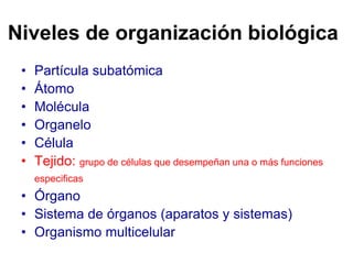 Niveles de organización biológica
• Partícula subatómica
• Átomo
• Molécula
• Organelo
• Célula
• Tejido: grupo de células que desempeñan una o más funciones
especificas
• Órgano
• Sistema de órganos (aparatos y sistemas)
• Organismo multicelular
 