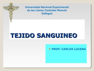Universidad Nacional Experimental 
de los Llanos Centrales Rómulo 
Gallegos 
TTEEJJIIDDOO SSAANNGGUUIINNEEOO 
 PROF: CARLOS LUCENA 
 