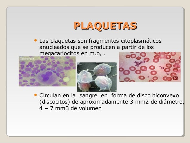Tejido sanguineo Histologia!!!!!!!!!!!