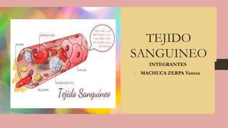 TEJIDO
SANGUINEO
INTEGRANTES
- MACHUCA ZERPA Vanesa
 