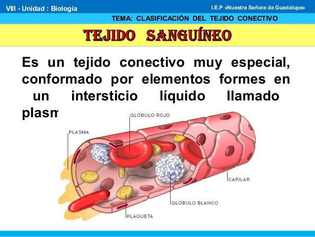 Tejido sanguíneo