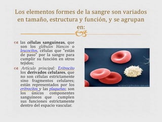 
 las células sanguíneas, que
son los glóbulos blancos o
leucocitos, células que "están
de paso" por la sangre para
cumplir su función en otros
tejidos;
 Artículo principal: Eritrocito
los derivados celulares, que
no son células estrictamente
sino fragmentos celulares;
están representados por los
eritrocitos y las plaquetas; son
los únicos componentes
sanguíneos que cumplen
sus funciones estrictamente
dentro del espacio vascular.
Los elementos formes de la sangre son variados
en tamaño, estructura y función, y se agrupan
en:
 