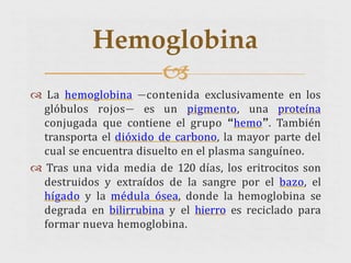  La hemoglobina —contenida exclusivamente en los
glóbulos rojos— es un pigmento, una proteína
conjugada que contiene el grupo “hemo”. También
transporta el dióxido de carbono, la mayor parte del
cual se encuentra disuelto en el plasma sanguíneo.
 Tras una vida media de 120 días, los eritrocitos son
destruidos y extraídos de la sangre por el bazo, el
hígado y la médula ósea, donde la hemoglobina se
degrada en bilirrubina y el hierro es reciclado para
formar nueva hemoglobina.
Hemoglobina

 