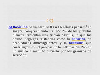 
 Basófilos: se cuentan de 0,1 a 1,5 células por mm³ en
sangre, comprendiendo un 0,2-1,2% de los glóbulos
blancos. Presentan una tinción basófila, lo que los
define. Segregan sustancias como la heparina, de
propiedades anticoagulantes, y la histamina que
contribuyen con el proceso de la inflamación. Poseen
un núcleo a menudo cubierto por los gránulos de
secreción.
 
